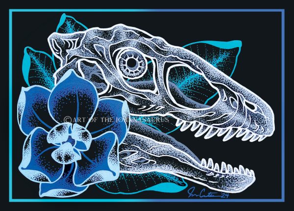 Deinonychus Skull
